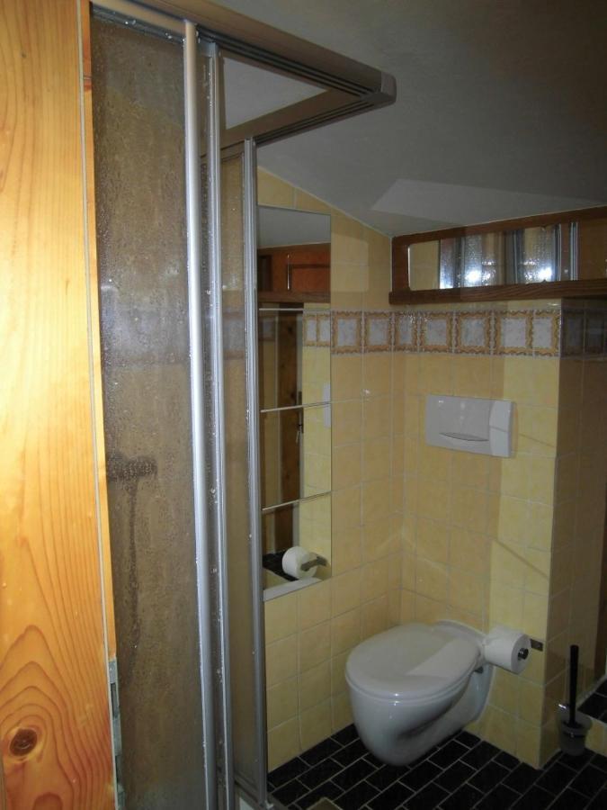 Appartements Haus Schmalzl Viehhofen Eksteriør bilde