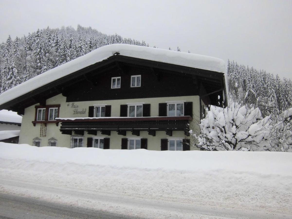 Appartements Haus Schmalzl Viehhofen Eksteriør bilde